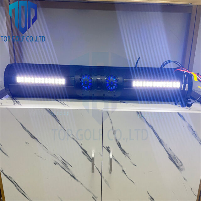 Sıcak satış ses kalitesi ve zarif görünümlü golf arabası 18